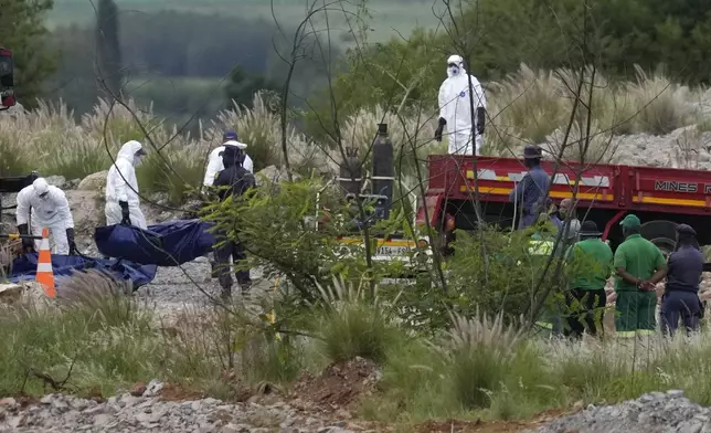 Forensic service workers carry bodies in blue body bags during a rescue operation to rescue miners from below ground in an abandoned gold mine in Stilfontein, South Africa, Wednesday, Jan. 15, 2025. (AP Photo/Themba Hadebe)
