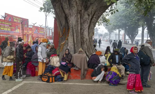 Pilgrims take shelter from the rain under a peepal tree by the side of a road, a day before the Maha Kumbh festival, in Prayagraj, India, Sunday, Jan. 12, 2025. (AP Photo/Ashwini Bhatia)