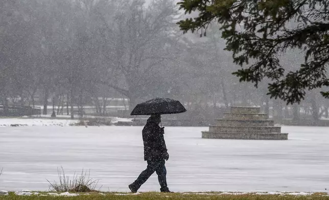 A man walks around Culler Lake in Frederick, MD during the snowfall on Sunday, Jan. 19, 2025. (Ric Dugan/The Frederick News-Post via AP)