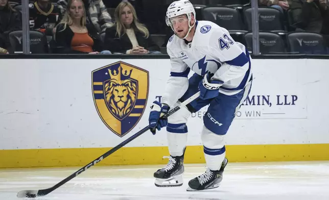 Tampa Bay Lightning defenseman Darren Raddysh looks to pass the puck during the second period of an NHL hockey game against the Anaheim Ducks, Sunday, Jan. 5, 2025, in Anaheim, Calif. (AP Photo/William Liang)