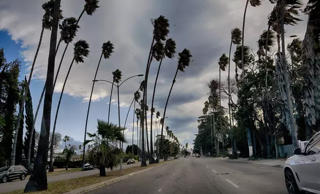 Tall palm trees sway during extreme gusty winds in the Van Nuys section of Los Angeles on Tuesday, Jan. 7, 2025. (AP Photo/Richard Vogel)