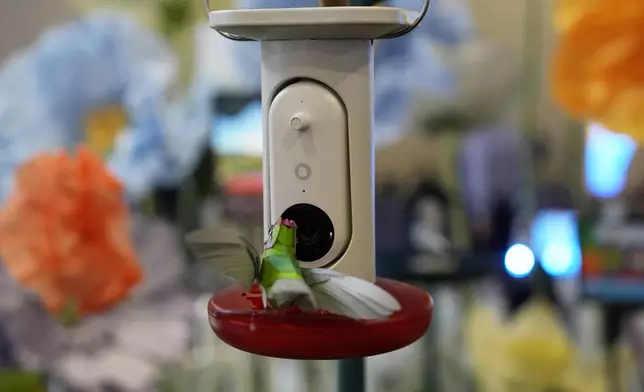 A Bird Buddy smart bird feeder is on display at the Wonder booth during the CES tech show Wednesday, Jan. 8, 2025, in Las Vegas. (AP Photo/John Locher)