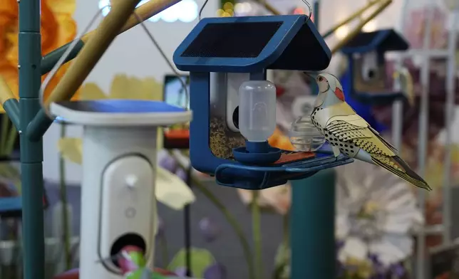 A Bird Buddy smart bird feeder is on display at the Wonder booth during the CES tech show Wednesday, Jan. 8, 2025, in Las Vegas. (AP Photo/John Locher)