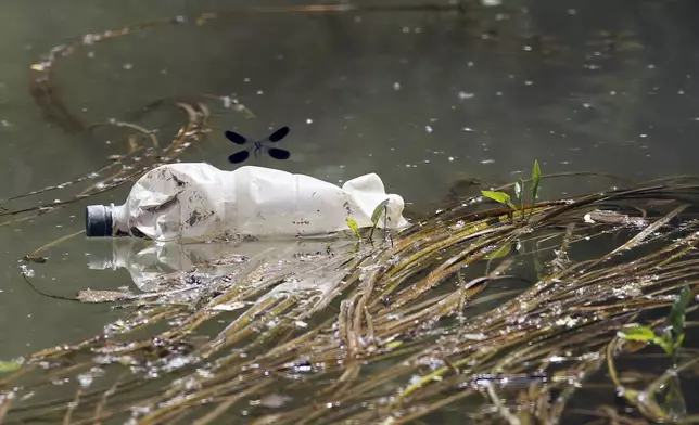 FILE - A dragonfly flies over a plastic bottle near the bank of Sava River in Obrenovac, some 25 kilometers (15 miles) west of the Serbian capital Belgrade, on Tuesday, May 28, 2013. (AP Photo/Darko Vojinovic, File)