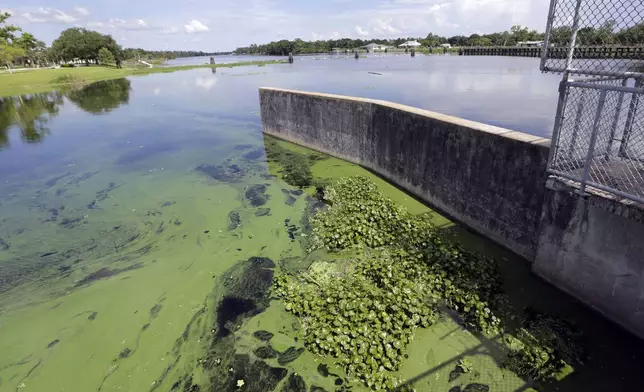 FILE - An algae bloom appears on the Caloosahatchee River at the W.P. Franklin Lock and Dam in Alva, Fla., on Thursday, July 12, 2018. (AP Photo/Lynne Sladky, File)