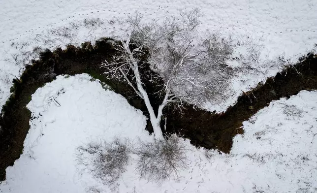 A tree lies over a creek that meanders through a small valley in the Taunus region near Frankfurt, Germany, Friday, Jan. 3, 2025. (AP Photo/Michael Probst)