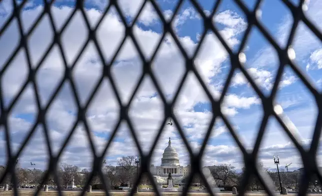 A bird flies framed by security fencing in front of the U.S. Capitol, which has been put up in a perimeter around the complex, Thursday, Jan. 2, 2025, in Washington. (AP Photo/Jacquelyn Martin)