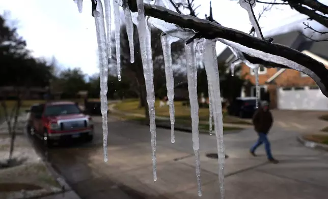 Cold temperatures and a lawn sprinkler create icicle on a tree ahead of a winter storm expected to hit the North Texas region later tomorrow Wednesday, Jan. 8, 2025, in Richardson, Texas. (AP Photo/LM Otero)