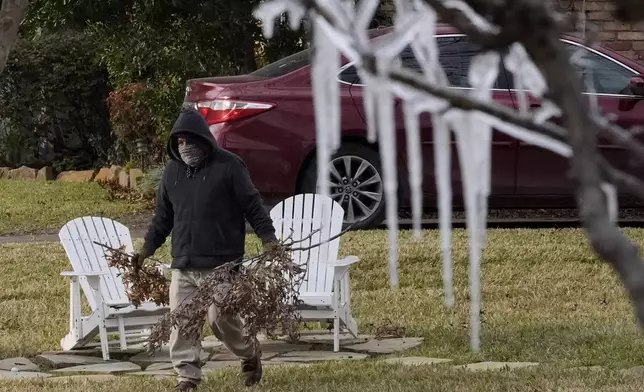 Samuel Sotelo moves branches as cold temperatures and a lawn sprinkler create icicle on a tree ahead of a winter storm expected to hit the North Texas region later tomorrow Wednesday, Jan. 8, 2025, in Richardson, Texas. (AP Photo/LM Otero)