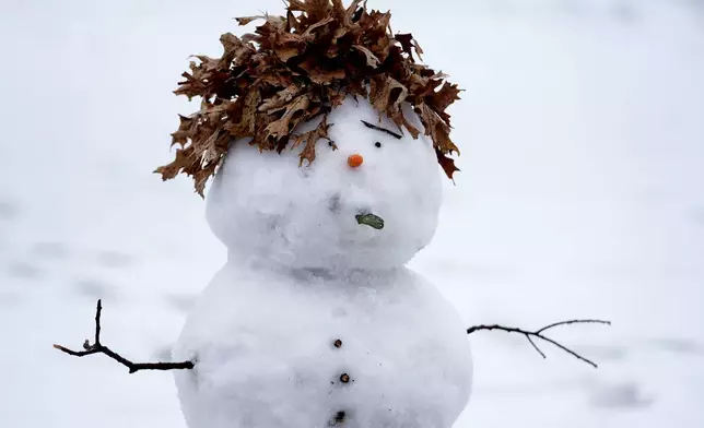 A snowman with leaves for hair stands in a park Thursday, Jan. 9, 2025, in Richardson, Texas. (AP Photo/LM Otero)