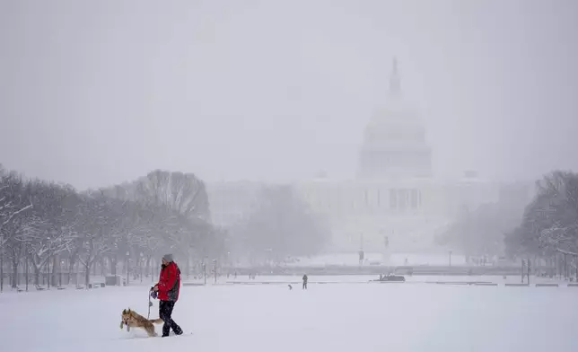 A person walks his dog in view of the Capitol during a winter snow storm in Washington, Monday, Jan. 6, 2025. (AP Photo/Matt Rourke)