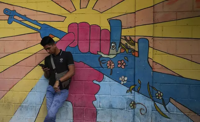 A government supporter rests in front of a mural before the ceremony to open the legislative year in Caracas, Venezuela, Sunday, Jan. 5, 2025. (AP Photo/Matias Delacroix)