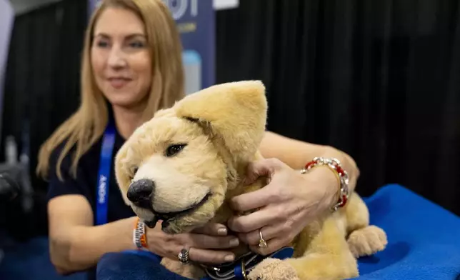 Tombot, a robotic dog for people who can not have a real pet, gets a scratch during 2025 CES Unveiled, Sunday, Jan. 5, 2025, in Las Vegas. (AP Photo/Jack Dempsey)