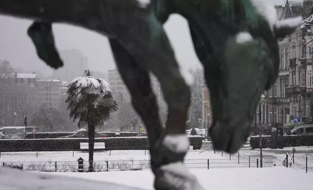 Snow covers a statue and palm tree after early morning snow fell in the center of Brussels, Thursday, Jan. 9, 2025. (AP Photo/Virginia Mayo)