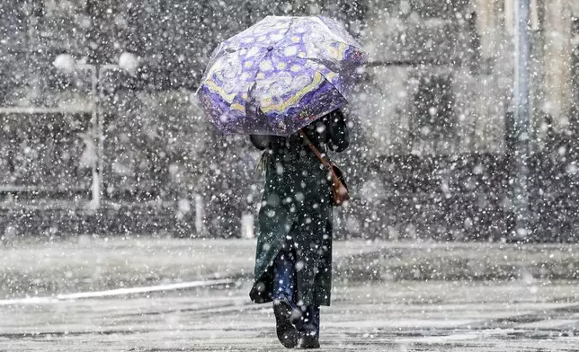 A woman walks under an umbrella during heavy snowfall in Cologne, Germany, Thursday, Jan. 9, 2025. (AP Photo/Martin Meissner)