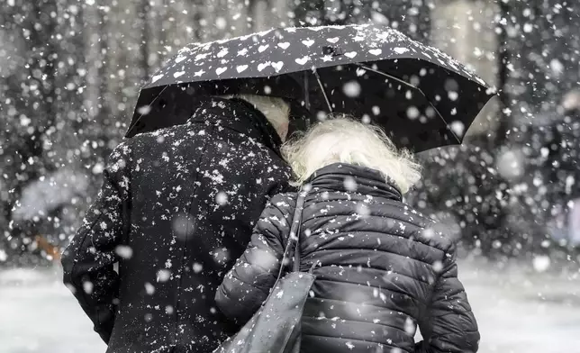 People hiding behind umbrellas during heavy snowfall in Cologne, Germany, Thursday, Jan. 9, 2025. (AP Photo/Martin Meissner)