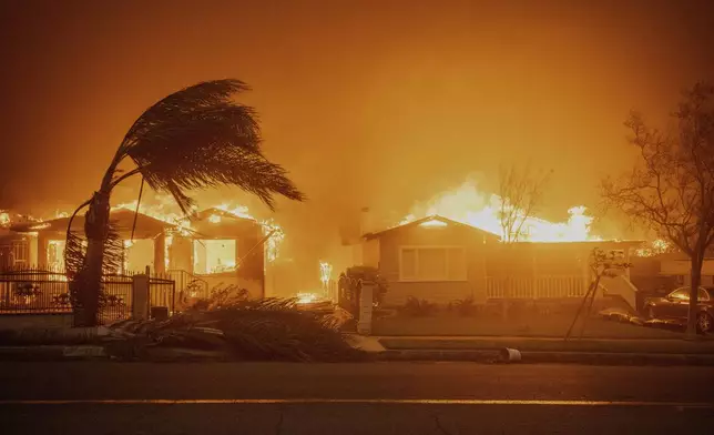 Trees sway in high winds as the Eaton Fire burns structures Wednesday, Jan. 8, 2025 in Altadena, Calif. (AP Photo/Ethan Swope)