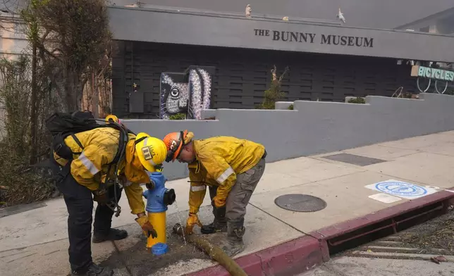 Firefighters work a hydrant in front of the burning Bunny Museum, Wednesday, Jan. 8, 2025, in the Altadena section of Pasadena, Calif. (AP Photo/Chris Pizzello)