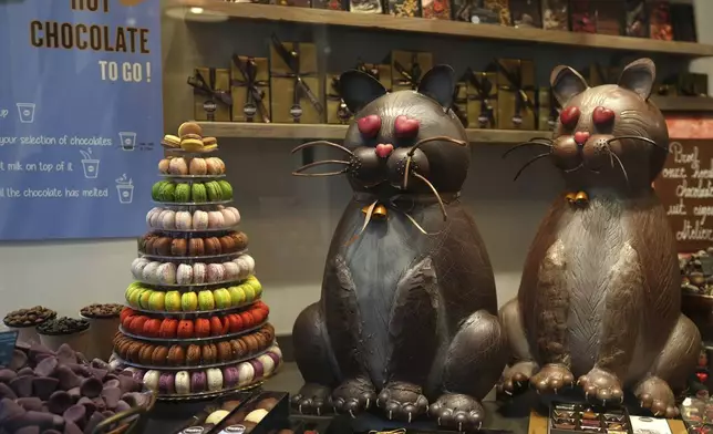 Two large cats made of Chocolate are on display in a window in Bruges, Belgium, Thursday, Feb. 6, 2025. (AP Photo/Virginia Mayo)