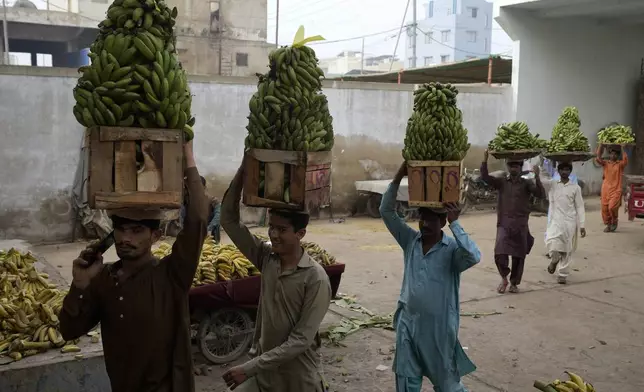 Workers carry bunches of bananas to be auctioned at a wholesale fruit market, in Karachi, Pakistan, Wednesday, Feb. 26, 2025. (AP Photo/Fareed Khan)