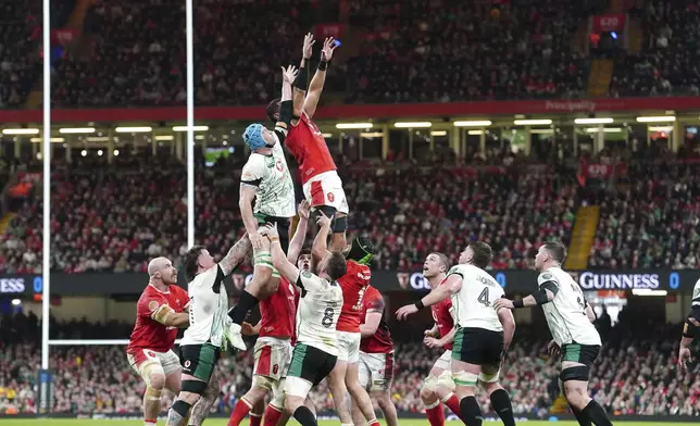 Wales' Taulupe Faletau wins a line-out, during the Six Nations rugby match between Wales and Ireland, at the Principality Stadium, in Cardiff, Wales, Saturday, Feb. 22, 2025. (David Davies/PA via AP)