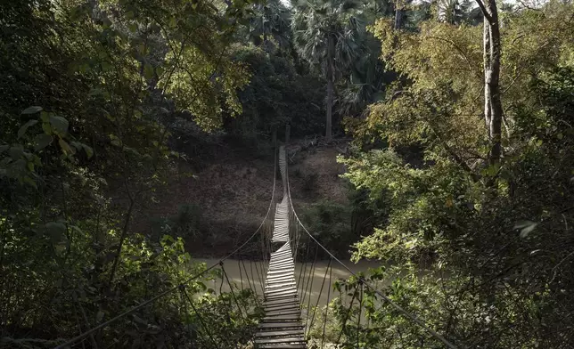 A dilapidated bridge hangs at Niokolo Koba National Park, Senegal on Tuesday, Jan. 14, 2025. (AP Photo/Annika Hammerschlag)