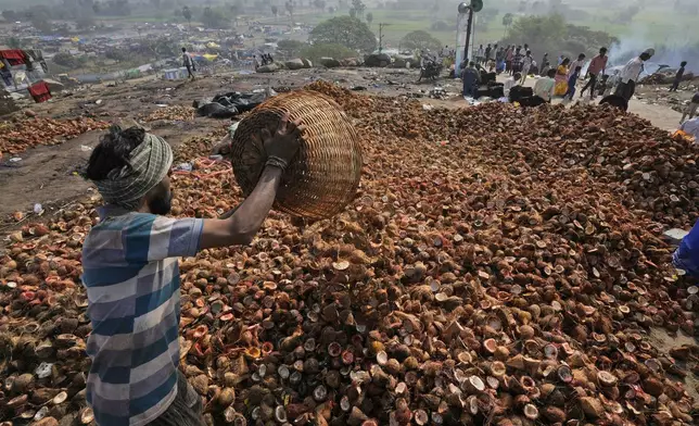 A man makes a pile of coconuts offered by devotees at the Lingamanthula Swamy temple during a Hindu pilgrimage called the Peddagattu Jatara, in Suryapet, Telangana state, India, Tuesday, Feb. 18, 2025. (AP Photo /Mahesh Kumar A.)