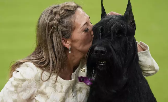 Katie Bernardin kisses Monty, a Giant Schnauzer, after winning best in show in the 149th Westminster Kennel Club Dog show, Tuesday, Feb. 11, 2025, in New York. (AP Photo/Julia Demaree Nikhinson)