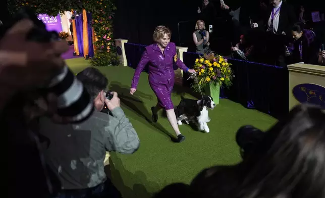 Robin Novack, center, and Freddie, an English Springer Spaniel, arrive for the best in show competition during the 149th Westminster Kennel Club Dog show, Tuesday, Feb. 11, 2025, in New York. (AP Photo/Julia Demaree Nikhinson)