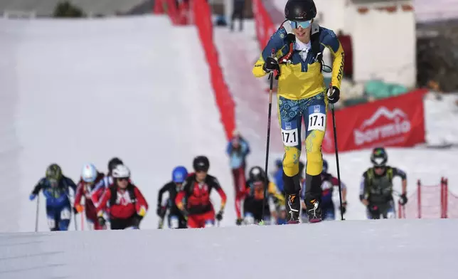 Sweden's Jerker Lysell competes as she leads during the women's mixed relay race at the Ski Mountaineering World Cup event in Bormio, Italy, Sunday, Feb. 23, 2025. (AP Photo/Antonio Calanni)