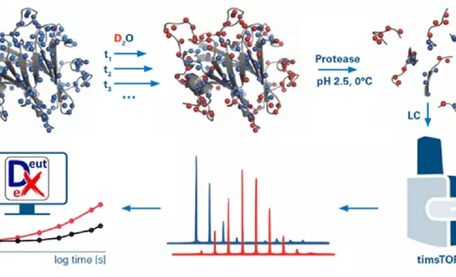 Overview of DeutEx workflows for HDX-MS analysis (Graphic: Business Wire)