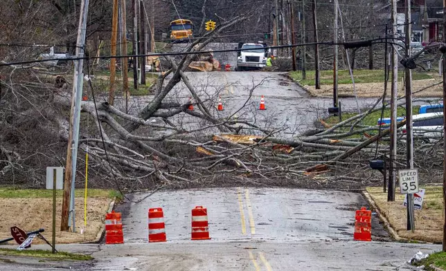 Downed trees cover the roadway toward South Jefferson Street from severe weather in downtown Tuscumbia, Ala., Sunday, Feb. 16, 2025.(Dan Busey/The TimesDaily via AP)