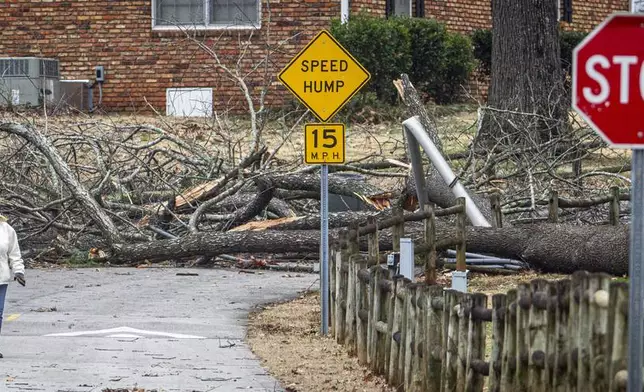 An onlooker passes a downed tree at Gattman Park in Muscle Shoals, Ala., Sunday, Feb. 16, 2025. (Dan Busey/The TimesDaily via AP)