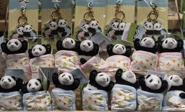 Souvenirs of the Hong Kong-born giant panda twin cubs are displayed at a shop in Ocean Park as they make their debut appearance to public in Hong Kong, Sunday, Feb. 16, 2025. (AP Photo/Chan Long Hei)