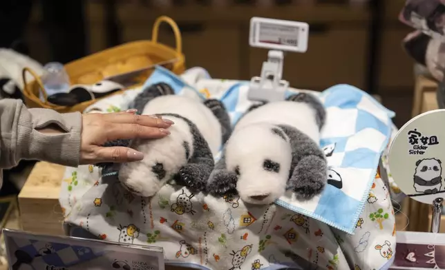 Souvenirs of the Hong Kong-born giant panda twin cubs are displayed at a shop in Ocean Park as they make their debut appearance to public in Hong Kong, Sunday, Feb. 16, 2025. (AP Photo/Chan Long Hei)
