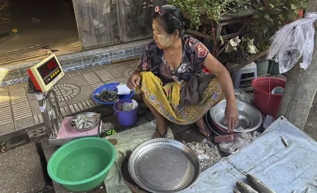 A woman puts Thanakha, traditional make-up, on her face weighs fishes to customers at a local bazaar Wednesday, Feb.12, 2025 in Yangon, Myanmar. (AP Photo/Thein Zaw)