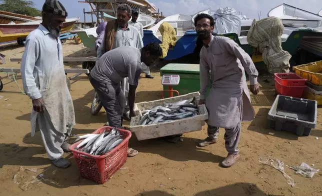 Fishermen weight fish on a scale in the coastal city of Gwadar, in southwest Pakistani province of Balochistan, Jan. 13, 2025. (AP Photo/Anjum Naveed)