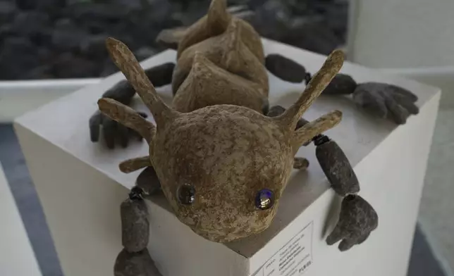 A figure of an axolotl sits on display at a museum in Xochimilco Ecological Park, in Mexico City, Tuesday, Feb. 11, 2025. (AP Photo/Marco Ugarte)