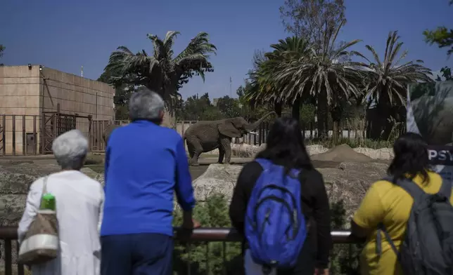 Visitors view elephant Ely at the San Juan de Aragon Zoo in Mexico City, Friday, Feb. 21, 2025. Mexico’s Supreme Court is expected to rule soon on an effort by advocates to improve conditions for Ely who have filed complaints of alleged animal abuse and abandonment. (AP Photo/Marco Ugarte)
