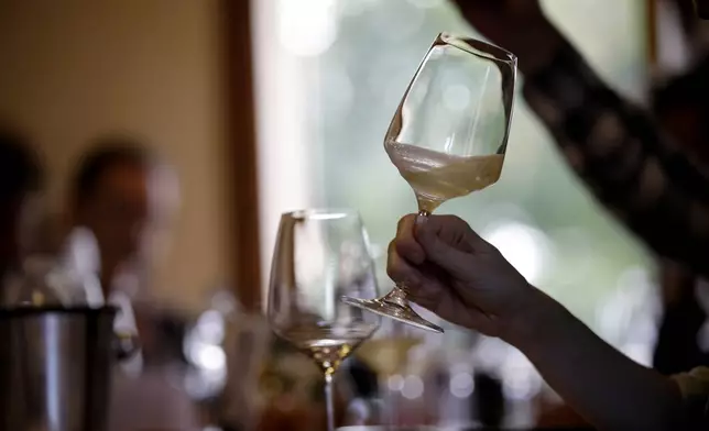 An expert wine tester shakes a glass of Prosecco during a wine testing at the Case Paolin farm, in Volpago del Montello, Italy, Monday, Oct. 15, 2018. (AP Photo/Luca Bruno, File)