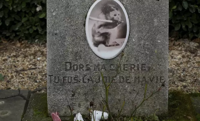 A grave for a monkey named "Kiki" is seen at the pet cemetery of Asnieres-sur-Seine, west of Paris, Friday, Feb. 21, 2025. (AP Photo/Michel Euler)