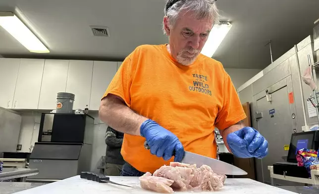 Event organizer Larry Primeau cuts up alligator, the "mystery meat," to serve at a wild game dinner in Pine Grove, Pa., on Saturday, Feb. 15, 2025. (AP Photo/Tass Vejpongsa)