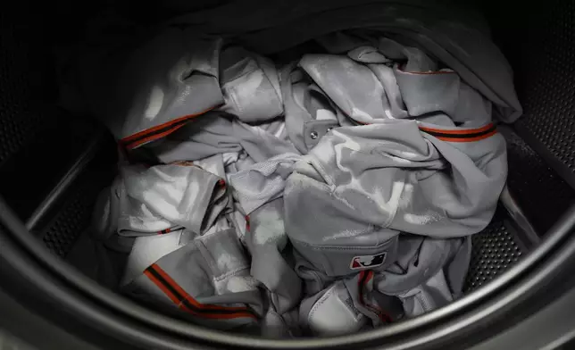 Baseball pants are sprinkled with Water Mark Protein Release Powder in a washing machine during San Francisco Giants baseball spring training at the team's facility, Monday, Feb. 17, 2025, in Scottsdale, Ariz. (AP Photo/Carolyn Kaster)