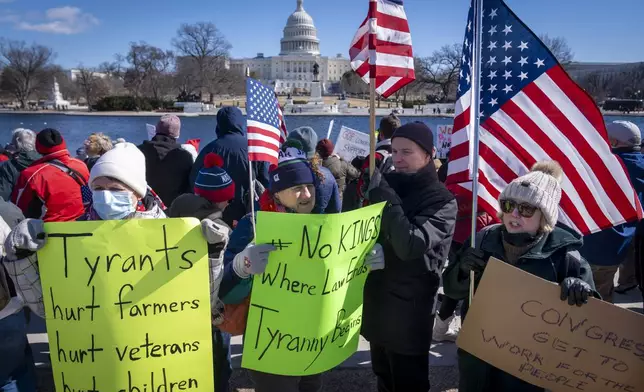 People take part in the "No Kings Day" protest on Presidents Day in Washington, in support of federal workers and against recent actions by President Donald Trump and Elon Musk, Monday, Feb. 17, 2025, by the Capitol in Washington. The protest was organized by the 50501 Movement, which stands for 50 Protests 50 States 1 Movement. (AP Photo/Jacquelyn Martin)
