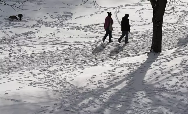 People walk through snow past a pair of geese at Waterfront Park on Thursday, Feb. 13, 2025, in Portland, Ore. (AP Photo/Jenny Kane)
