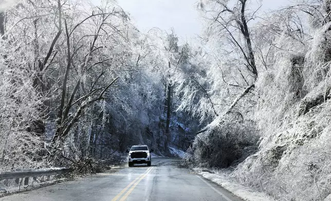 A motorist navigates drooping branches on Merriman Road in Franklin County after a winter storm affected the area Thursday, Feb. 13, 2025, in Franklin County, Va. (Heather Rousseau/The Roanoke Times via AP)