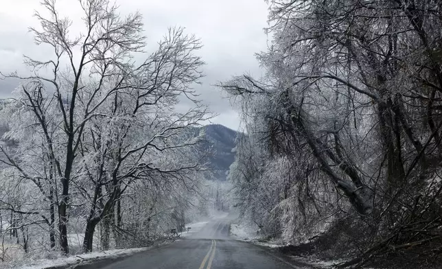 Drooping branches frame a road in Franklin County, Va., after a winter storm affected the area Thursday, Feb. 13, 2025. (Heather Rousseau
