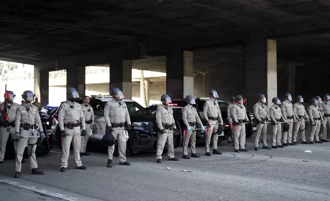 Law enforcement personnel stage in front of a group of demonstrators who shut down the 110 freeway during a protest calling for immigration reform Sunday, Feb. 2, 2025, in Los Angeles. (AP Photo/Eric Thayer)