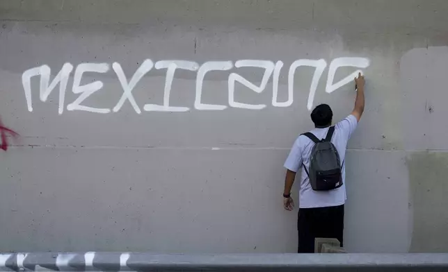 A demonstrator spray paints a wall along the 110 freeway during a protest calling for immigration reform Sunday, Feb. 2, 2025, in Los Angeles. (AP Photo/Eric Thayer)
