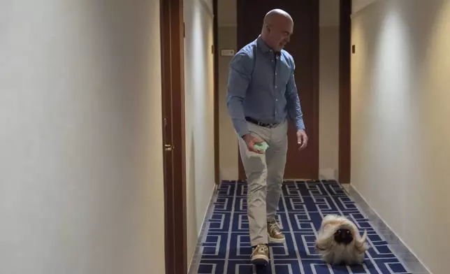 President of the Westminster Kennel Club Donald Sturz shows Fiona, his pet pekingese, during an interview with The Associated Press at The New Yorker hotel, Thursday, Jan. 30, 2025, in New York. (AP Photo/Julia Demaree Nikhinson)